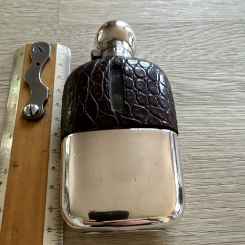 James dixon crocodile - crocodile, covered